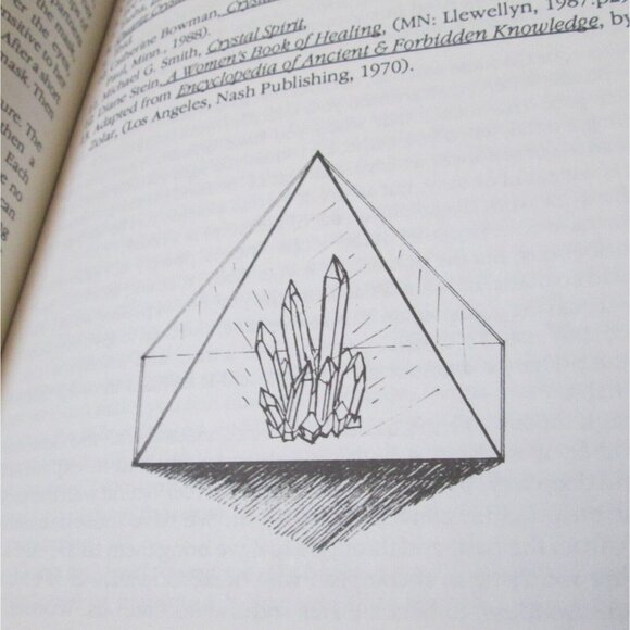 Wild Witches Don't Get The Blues Paperback Book Ffiona Morgan Wicca 1991 - Picture 8 of 9